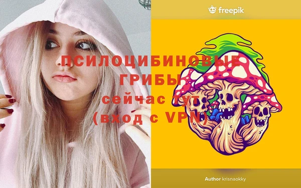 сатива Верхний Тагил