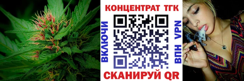 ссылка на мегу ТОР  Вытегра  ТГК гашишное масло 